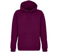 SOLS Unisex Adult Condor Hoodie PC7424