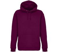 SOLS Unisex Adult Condor Hoodie PC7424
