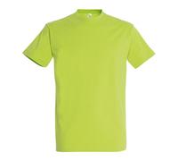 SOL'S Men's Imperial Heavy T-Shirt in Green | Size: 3XL SOL'S Green 3XL