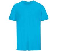 SOLS Unisex Adult Legend Organic T-Shirt (Aqua) - Blue - Size X-Large