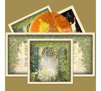 Solstice - Light Up [VINYL]