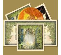 Solstice - Light Up [VINYL]