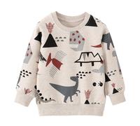 SoLu DAY8 Kids Sweatshirt no Hood Boys Age 1-6 Years Funny Graphic Boys Crewneck Pullover Long Sleeve Winter Comfy Cartoon Cute Dinosaur Loose School Casual Vacation Blouse (Light Gray, 4-5 Years)