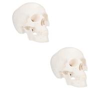 SOLUSTRE 2 Pcs Mini Plastic Skull Model for Human Skull Structure Learning with Detachable Cap and Articulated Jaw Visual Aids for Schools and Physical Health Teaching