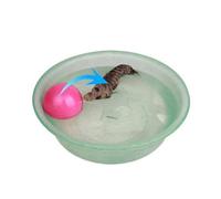 SOLUSTRE 2pcs Motorized Electric Ball for Cats and Puppies, Lightweight Plastic Interactive Rolling Pet for Leisure Time Play, Battery Operated Fun Entertainment Random Color