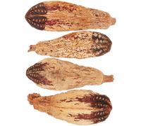 SOLUSTRE 4pcs Biting Bird Chew with Workmanship and Natural Fruit Material Unique Shape Protect Furniture Mental Health for Birds When They Are Alone