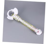 SOLUSTRE Medical Training Human Spine Model PVC Anatomy with Nerve Roots Spinal Arteries Intervertebral Discs for Doctor Nurse Student Practice and Teaching Display