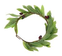 SOLUSTRE Olive Leaf Wreath Hair Accessory Stylish Fabric Lightweight Simulation Leaf Decorations for Female Brides Cosplay Photo Party Hair Bands Flower Headdress for Bride