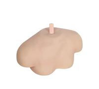 SOLUSTRE Simulated Shoulder Model Rack Realistic Multi-purpose Pvc Material Teaching Model for Beauty Salon Practice