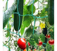 Solutra Garden Trellis for Climbing Plants, Pea Netting Climbing Plant Support Net, Garden Netting for Vine Plants Flower Cucumber Tomatoes Grapes (5.0mx1.8m)