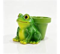SolvixEdge Small Cute Frog Succulent Planter Pot, Resin Frog Figurine Ornament Decorative Planter Pot for Indoor Outdoor Home Garden Yard Balcony Patio Windowsill Desktop Decor