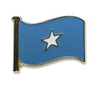 Somalia Flag Pin Badge, 20mm, Enamel Colours, Butterfly Clasp