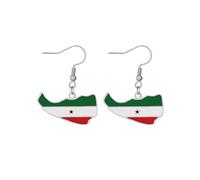 Somaliland Map Flag Earrings Stainless Steel Dangle Drop Earrings Horn of Africa Jewellery Gift For Women Men (Silver Colour)