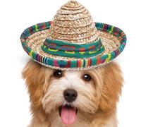 Sombrero Party Hats, Woven Mexican Party Hats, Wide-Brim Headband for Outdoor Costume Celebrations Pet Children Dog Birthday Kids