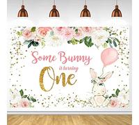 Some Bunny is Turning One Theme Party Backdrop Newborn Rabbit 1st Birthday Background Gold Dots Fresh Flowers Balloon Photocall (5x3FT/1.5x0.9m)