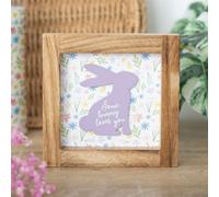 Some Bunny Loves You Wooden Frame Sign