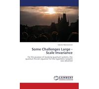 Some Challenges Large - Scale Invariance: For the purpose of studying quantum systems, the quantum Riccati equation for the hyperbolic tangent was obtained