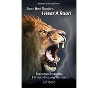 Some Hear Thunder... I Hear a Roar!: Supernatural Encounters & Stories to Encourage Your Heart