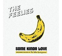 Some Kinda Love: Performing The Music Of The V