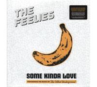 Some Kinda Love: the Music of the Velvet Undergrou