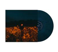 Some Things Break [VINYL]