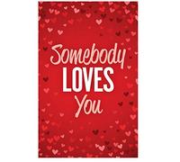 Somebody Loves You (Gospel Tract - Packet of 100 - NKJV)