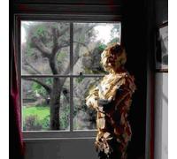 Someone Here Is - Pineapple Thief Vinyl