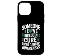 Someone I Love Needs A Cure Liver Cancer Awareness Case for iPhone 12 mini