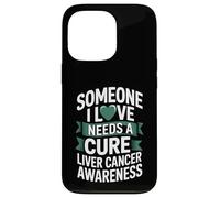 Someone I Love Needs A Cure Liver Cancer Awareness Case for iPhone 13 Pro