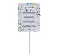 Someone Special Waterproof Graveside Memorial Card and Weatherproof 30cm Card Holder