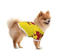 Somerset County Flag Mesh Dog Shirt - Lightweight & Breathable, Quick Dry Stretchy Pet T-Shirt Vest for Small Dogs