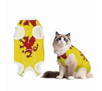 Somerset County Flag Pet Recovery Suit for Dogs - Soft Cotton Surgical Recovery Suit to Prevent Licking, Prevent Licking Puppy Onesies, Black