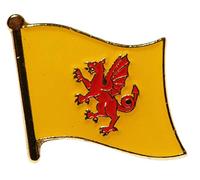 Somerset County Flag Pin Badge