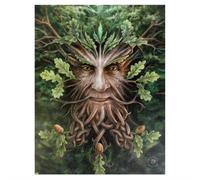 Something Different 19X25Cm Oak King Canvas Plaque By Anne Stokes