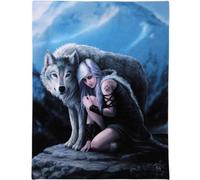 Something Different 19X25Cm Protector Canvas Plaque By Anne Stokes
