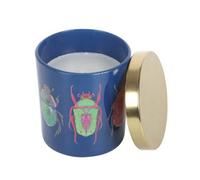 Something Different Amber & Vanilla Beetle Scented Candle Something Different Multicolor