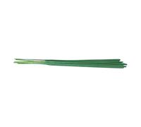 Something Different Balsam Fir Incense Sticks (Pack of 540) in Green Something Different Green