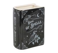 Something Different Book Of Spells Flower Vase Black (One Size)