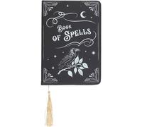Something Different Book Of Spells Mystic Raven A5 Notebook in Black Something Different Black