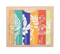 Something Different Botanical Masala Incense Sticks Set (Pack of 6) Something Different Multicolor