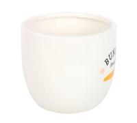 Something Different Bunny Treats Ceramic Pot in White Something Different White