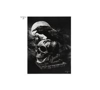 Something Different Canvas Plaque | Poe's Raven By Alchemy | H25cm x W19cm x D1.5cm | pack of 1, Black, White