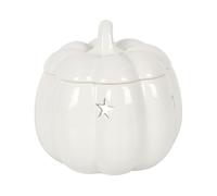 Something Different Ceramic Pumpkin Oil Burner