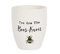 something different Cheerful White Bee-Adorned Ceramic Plant Pot - 13cm x 11cm (1 Pc.) - Heartwarming Gift with 'You are the Bees-Knees' Text - Ideal for Teachers or Special Occasions