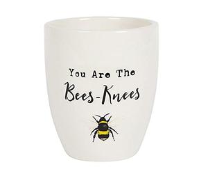 something different Cheerful White Bee-Adorned Ceramic Plant Pot - 13cm x 11cm (1 Pc.) - Heartwarming Gift with 'You are the Bees-Knees' Text - Ideal for Teachers or Special Occasions
