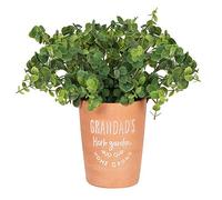 Something Different Classic Brown Terracotta Grandad's Garden Plant Pot - 16cm x 13cm (1 Pc.) - Lush Greenery Design, Eco-Friendly & Durable Pot - Perfect for Gardens