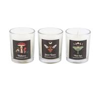 Something Different Dark Forest Trio Votive Candles (Pack of 3) in White Something Different White