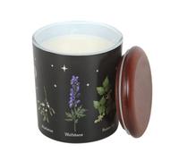 Something Different Deadly Nightshade Scented Candle in Black Something Different Black