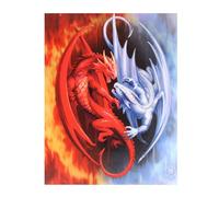 Something Different Fire And Ice Wall Canvas Print 19 x 25cm by Anne Stokes