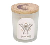 Something Different Manifestation Luna Moth Candle (One Size) (White/Brown)